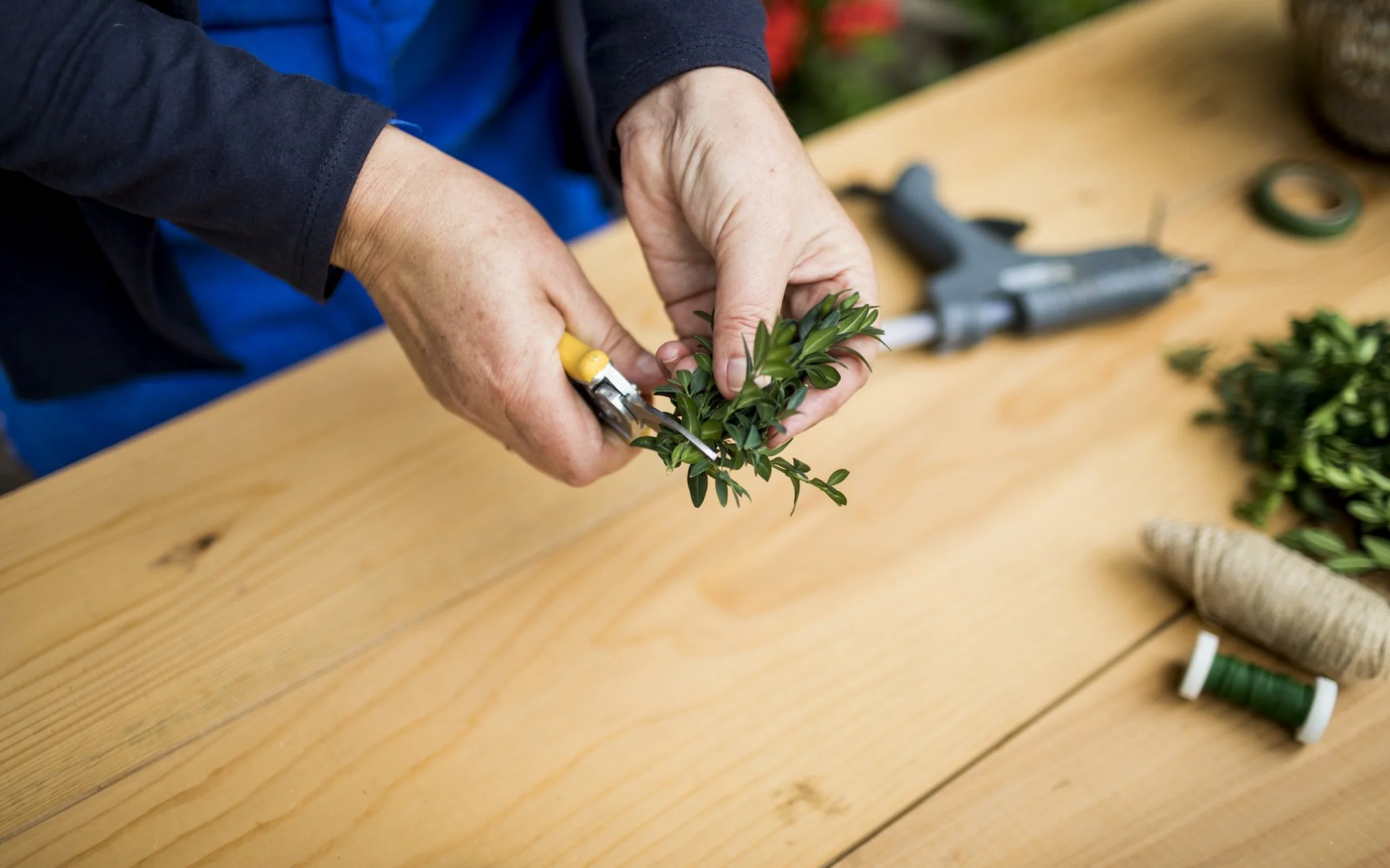 Bild 2_Buchsherz_SBO Basteln arminhuber_1600x1067.jpg